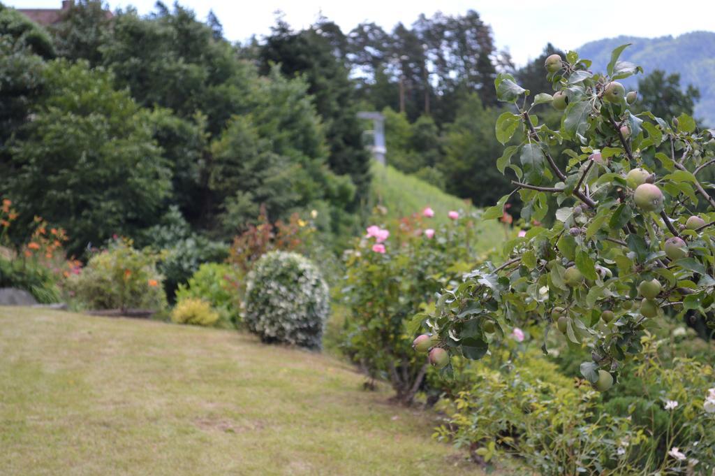 Jaeger Guesthouse アンネンハイム エクステリア 写真